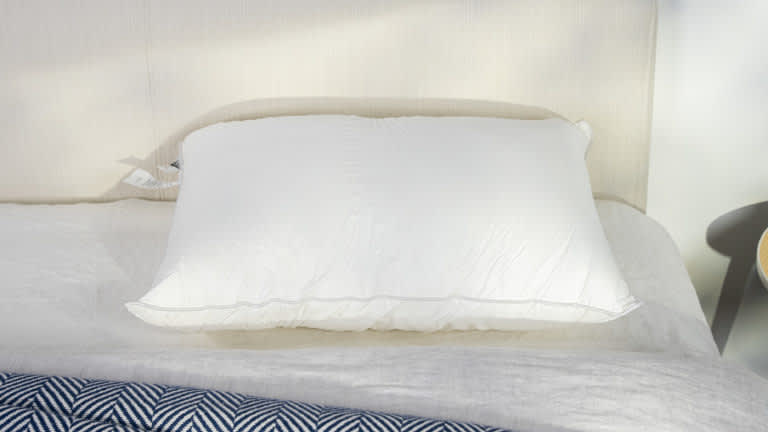 Best Pillows of 2025 - Best Soft Pillow - Sweet Zzz Plant-Based Pillow